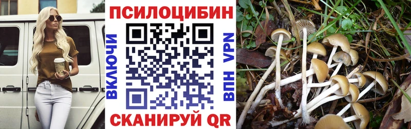 Галлюциногенные грибы прущие грибы  Курганинск 